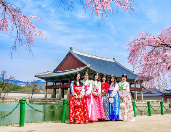 Cherry Blossoms Korea 3N/4N